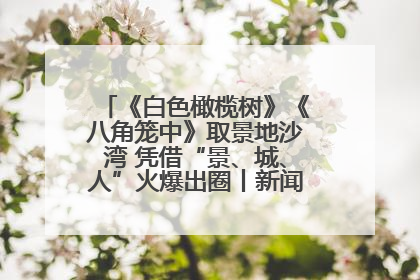 《白色橄榄树》《八角笼中》取景地沙湾 凭借“景、城、人”火爆出圈丨新闻发布最前线