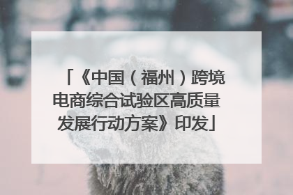 《中国（福州）跨境电商综合试验区高质量发展行动方案》印发