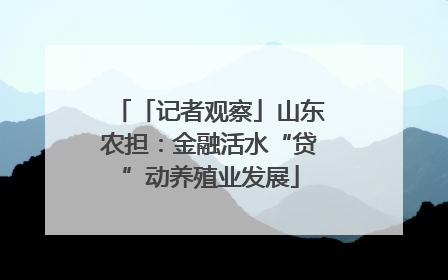 「记者观察」山东农担：金融活水“贷”动养殖业发展