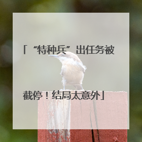 “特种兵”出任务被截停！结局太意外
