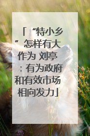 “特小乡”怎样有大作为 刘亭：有为政府和有效市场相向发力