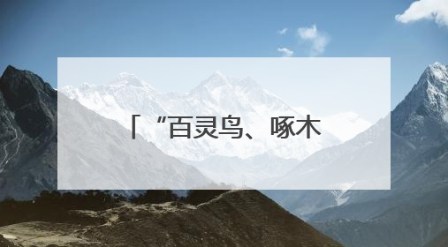 “百灵鸟、啄木鸟、织布鸟”，为仙居县域发展注入“新”动能