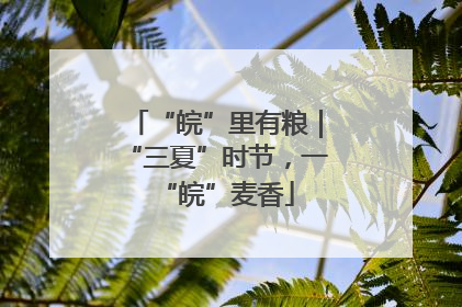“皖”里有粮｜“三夏”时节，一“皖”麦香