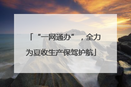 “一网通办”，全力为夏收生产保驾护航