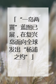 “一岛两翼”蓝图已展，在复兴岛面向全球发出“杨浦之约”