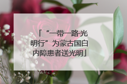 “一带一路·光明行”为蒙古国白内障患者送光明