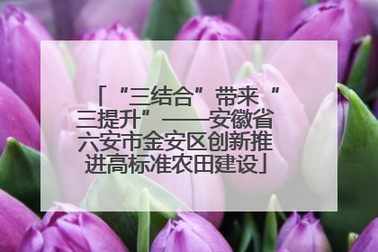 “三结合”带来“三提升”——安徽省六安市金安区创新推进高标准农田建设