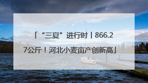 “三夏”进行时丨866.27公斤！河北小麦亩产创新高