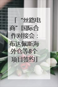 “丝路电商”国际合作对接会：布达佩斯海外仓等8个项目签约