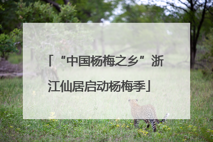 “中国杨梅之乡”浙江仙居启动杨梅季