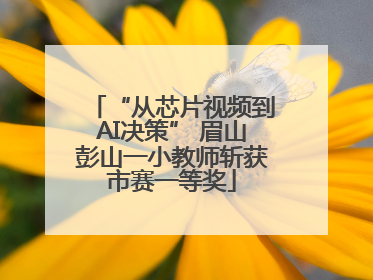 “从芯片视频到AI决策” 眉山彭山一小教师斩获市赛一等奖