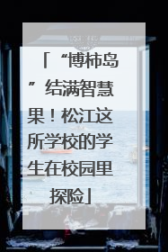 “博柿岛”结满智慧果！松江这所学校的学生在校园里探险