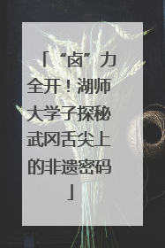 “卤”力全开！湖师大学子探秘武冈舌尖上的非遗密码