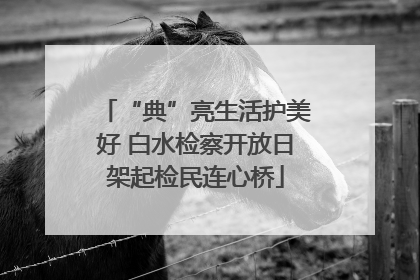 “典”亮生活护美好 白水检察开放日架起检民连心桥