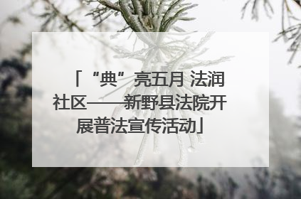 “典”亮五月 法润社区——新野县法院开展普法宣传活动