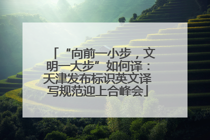“向前一小步，文明一大步”如何译：天津发布标识英文译写规范迎上合峰会