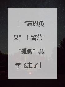 “忘恩负义”！警营“孤傲”燕隼飞走了