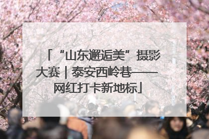 “山东邂逅美”摄影大赛｜泰安西岭巷——网红打卡新地标