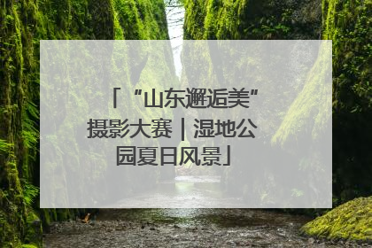 “山东邂逅美”摄影大赛｜湿地公园夏日风景