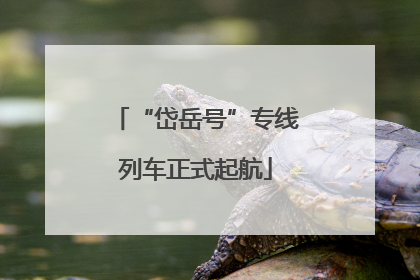 “岱岳号”专线列车正式起航