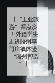 “工业旅游”看点多！外籍学生走进胶州李哥庄镇体验“胶州智造”