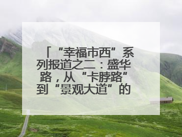 “幸福市西”系列报道之二：盛华路，从“卡脖路”到“景观大道”的华丽转身