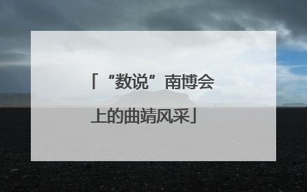 “数说”南博会上的曲靖风采