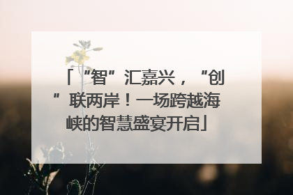 “智”汇嘉兴，“创”联两岸！一场跨越海峡的智慧盛宴开启