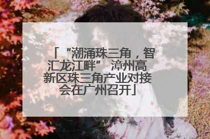 “潮涌珠三角，智汇龙江畔” 漳州高新区珠三角产业对接会在广州召开