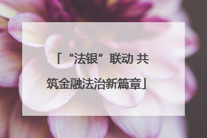 “法银”联动 共筑金融法治新篇章