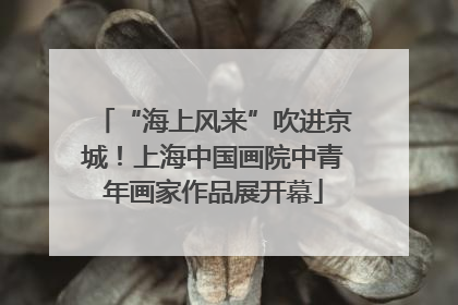 “海上风来”吹进京城！上海中国画院中青年画家作品展开幕