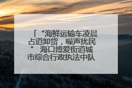 “海鲜运输车凌晨占道卸货，噪声扰民” 海口博爱街道城市综合行政执法中队：将联合交警加强长堤路一带巡逻