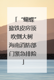 “蝴蝶”掀铁皮房顶吹倒大树 海南消防部门紧急排险