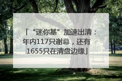 “迷你基”加速出清：年内117只谢幕，还有1655只在清盘边缘