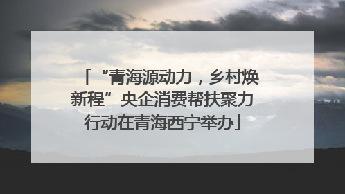 “青海源动力，乡村焕新程”央企消费帮扶聚力行动在青海西宁举办