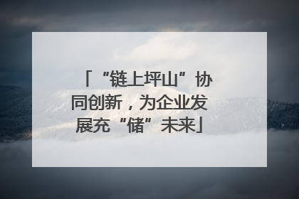 “链上坪山”协同创新，为企业发展充“储”未来