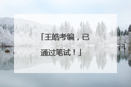 王皓考编，已通过笔试！