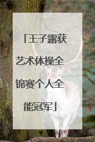 王子露获艺术体操全锦赛个人全能冠军