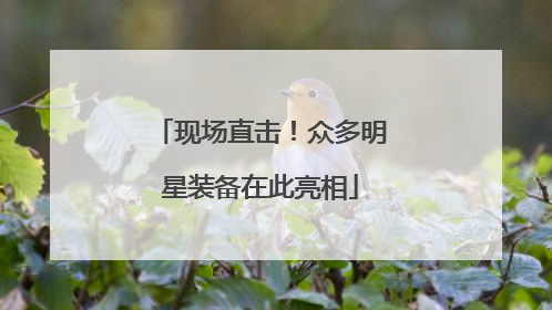 现场直击！众多明星装备在此亮相