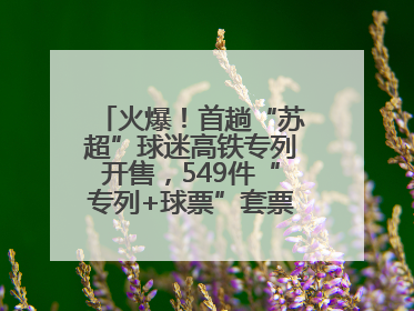 火爆！首趟“苏超”球迷高铁专列开售，549件“专列+球票”套票半小时售罄