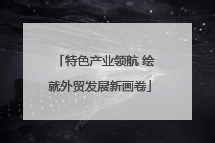 特色产业领航 绘就外贸发展新画卷