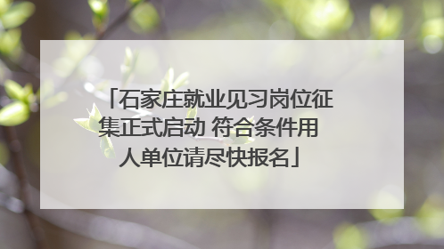 石家庄就业见习岗位征集正式启动 符合条件用人单位请尽快报名