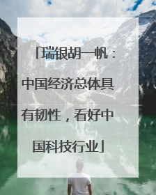 瑞银胡一帆：中国经济总体具有韧性，看好中国科技行业