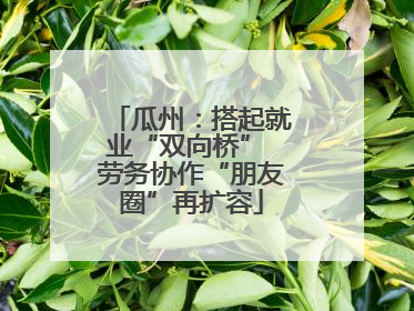 瓜州：搭起就业“双向桥” 劳务协作“朋友圈”再扩容