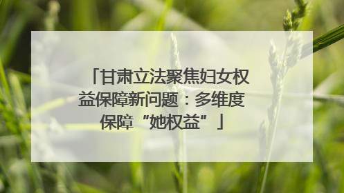 甘肃立法聚焦妇女权益保障新问题：多维度保障“她权益”