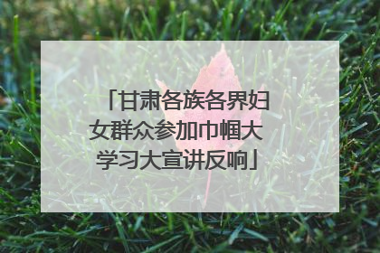 甘肃各族各界妇女群众参加巾帼大学习大宣讲反响