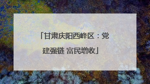 甘肃庆阳西峰区：党建强链 富民增收