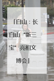 白山：长白山“新三宝”亮相文博会