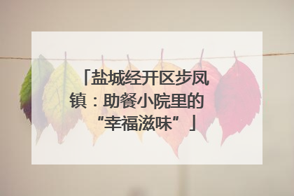 盐城经开区步凤镇：助餐小院里的“幸福滋味”