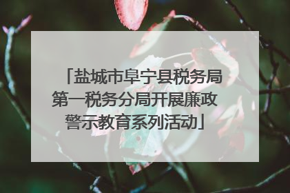 盐城市阜宁县税务局第一税务分局开展廉政警示教育系列活动